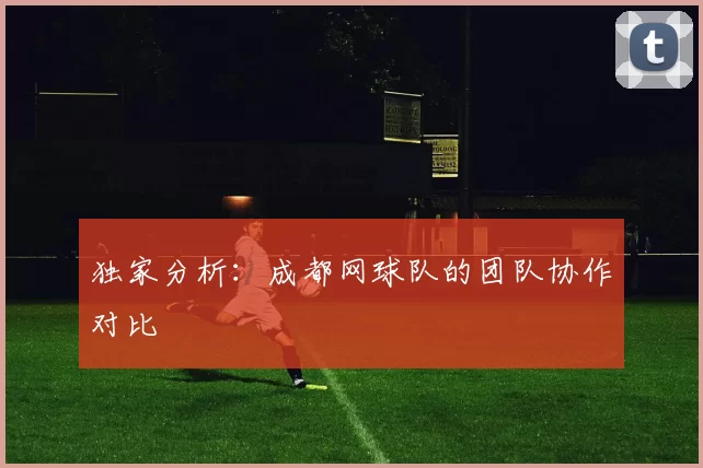 独家分析：成都网球队的团队协作对比