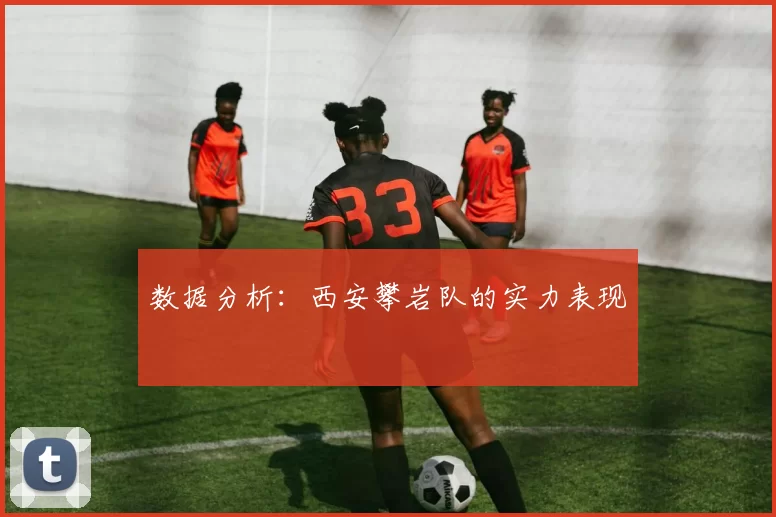 数据分析：西安攀岩队的实力表现