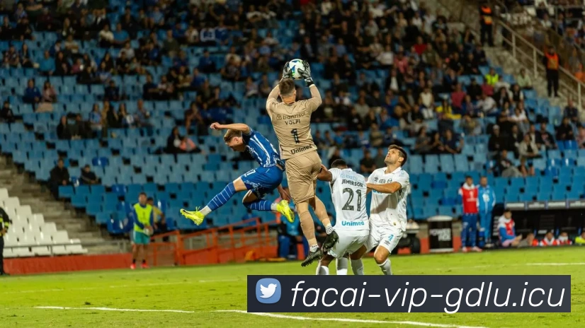 九游体育平台生态图